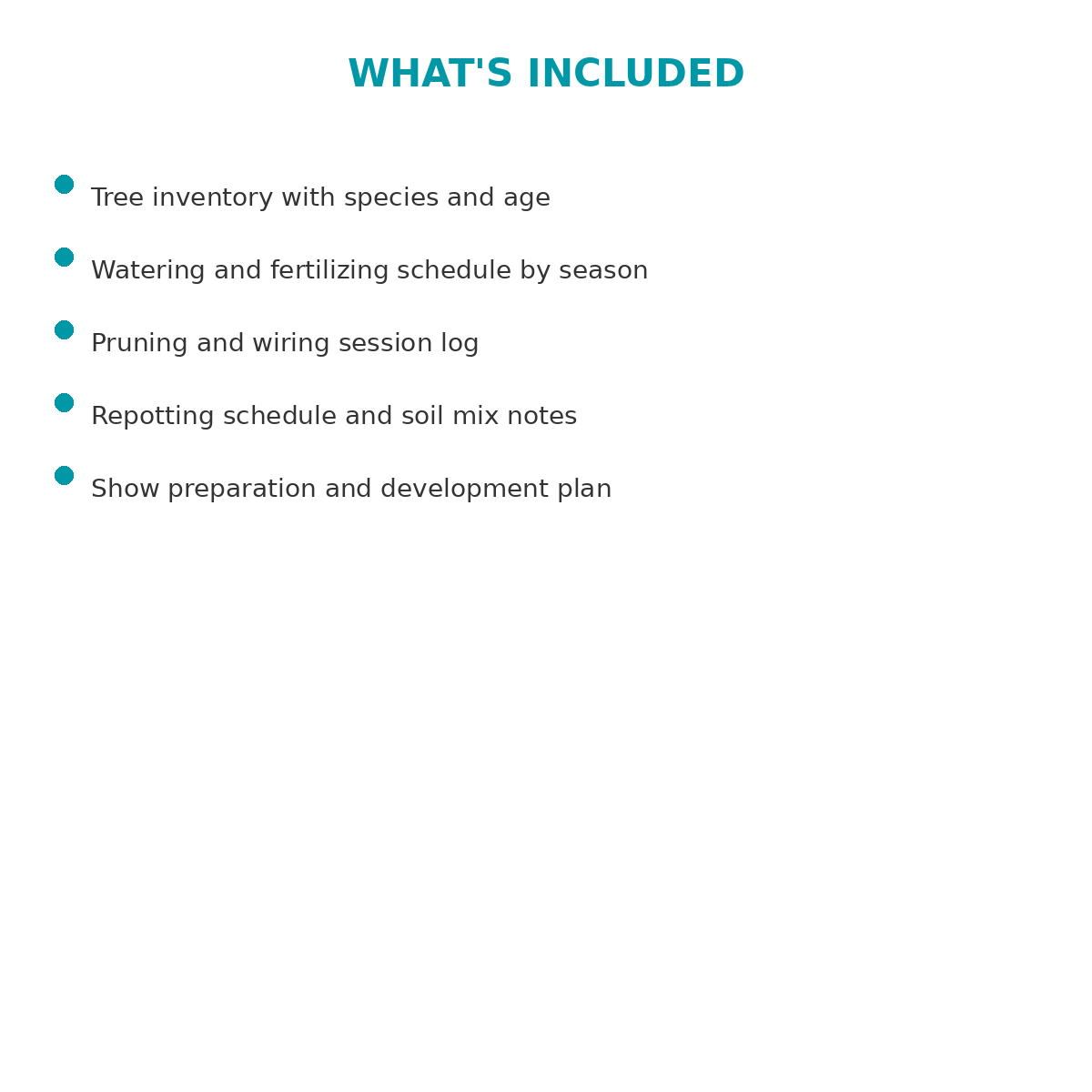 Bonsai Tree Care and Development Journal - Image 5