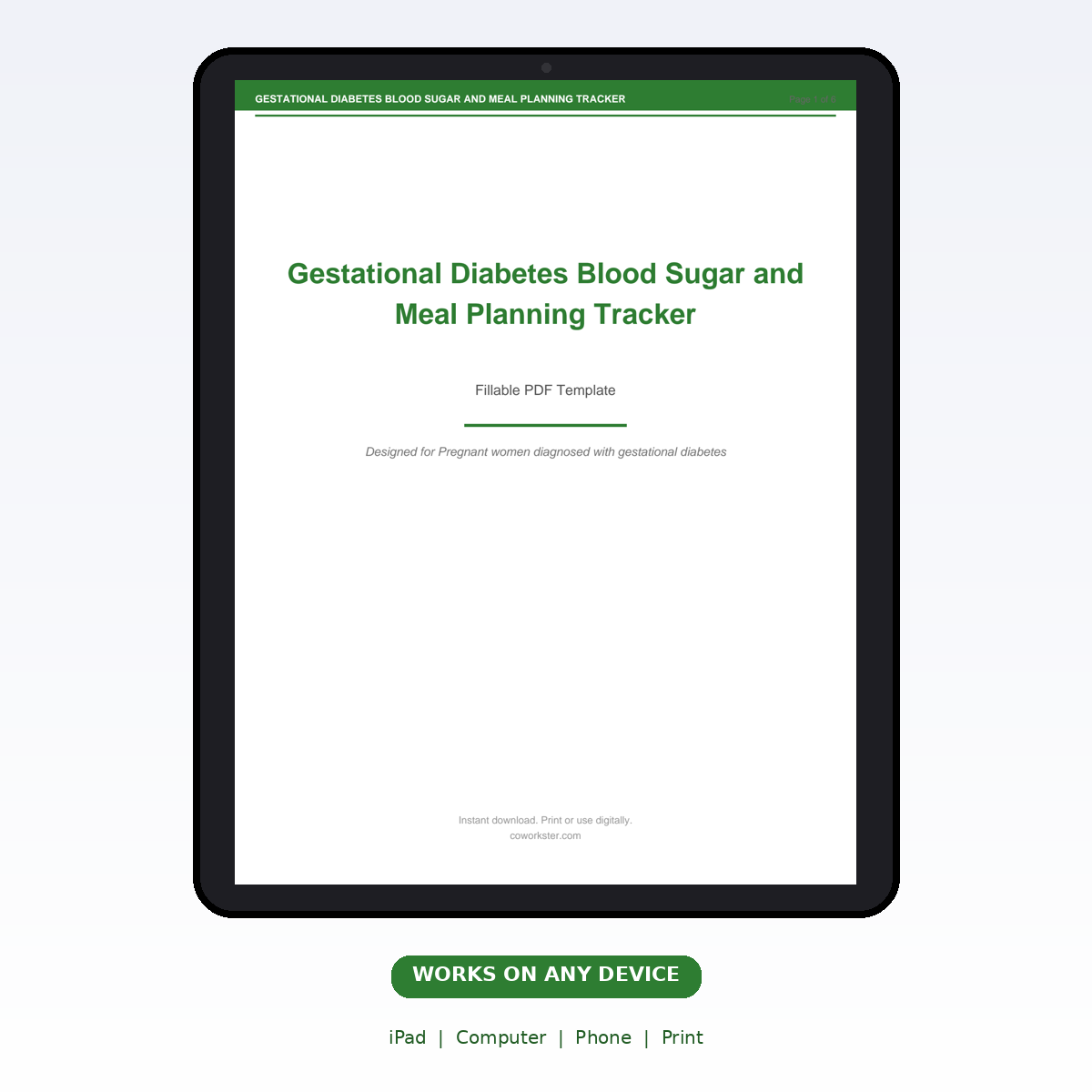 Gestational Diabetes Blood Sugar and Meal Planning Tracker - Image 7