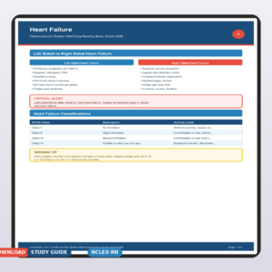 Cardiovascular System Med Surg Nursing Study Guide 2026