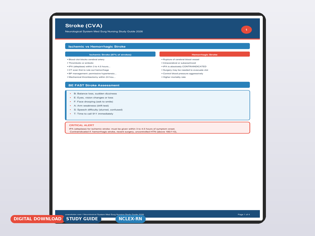 Neurological System Med Surg Nursing Study Guide 2026 - Image 2