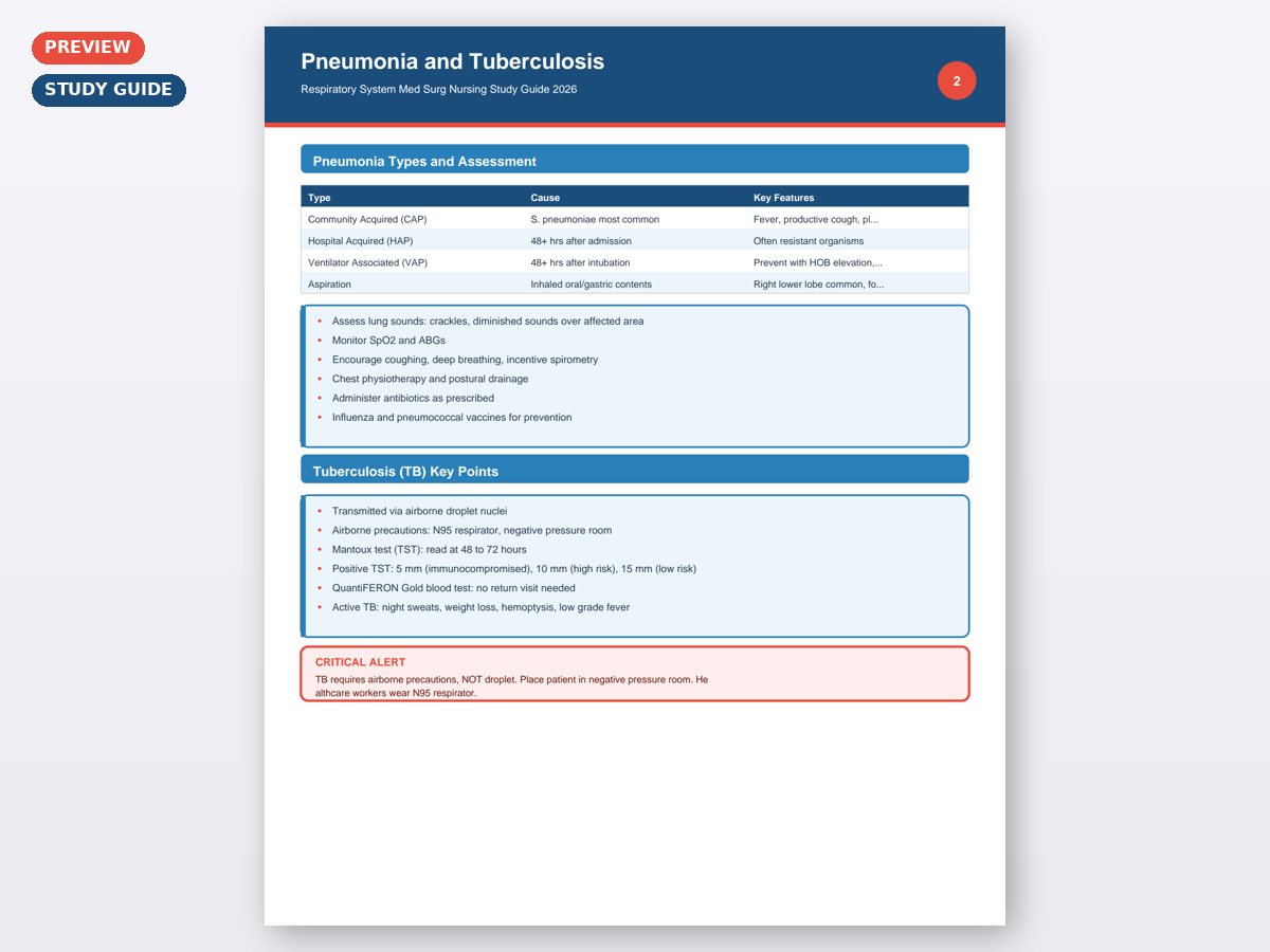 Respiratory System Med Surg Nursing Study Guide 2026 - Image 5