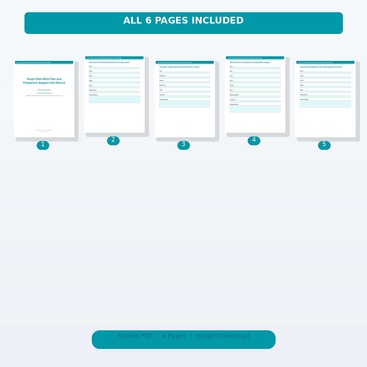 Doula Client Birth Plan and Postpartum Support Visit Record - Image 2