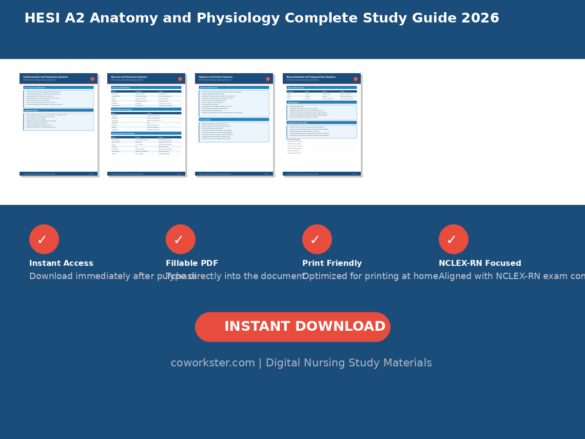 HESI A2 Anatomy and Physiology Complete Study Guide 2026 - Image 6